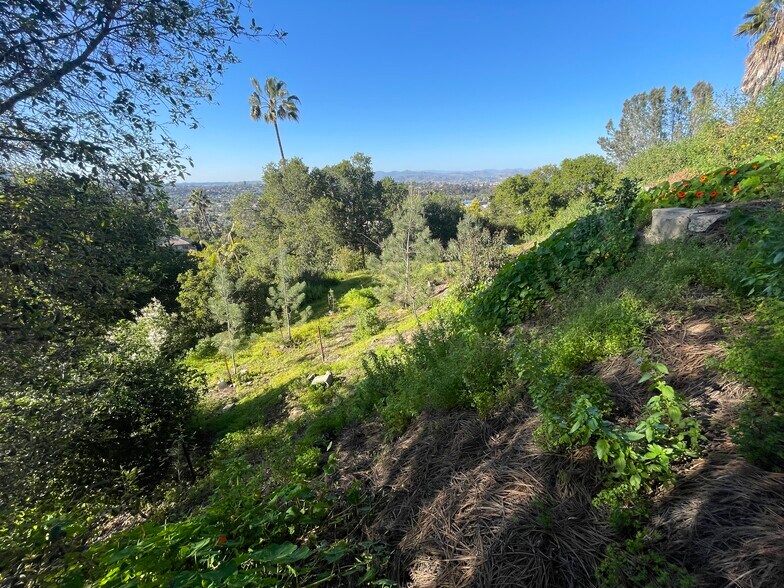 More Photos Of 0000 El Granito Avenue, La Mesa Land For Sale