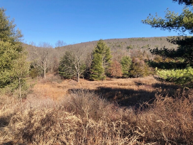 More Photos Of 308 NY-28, Kingston Land For Sale