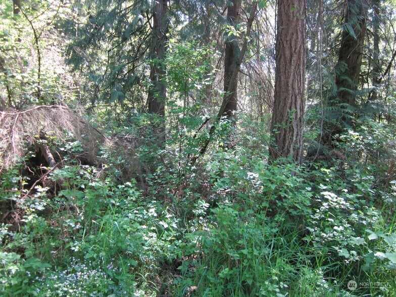 More Photos Of 20633 SE 388th St, Enumclaw Land For Sale