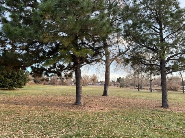 More Photos Of 11184 Huron St, Northglenn Office For Lease