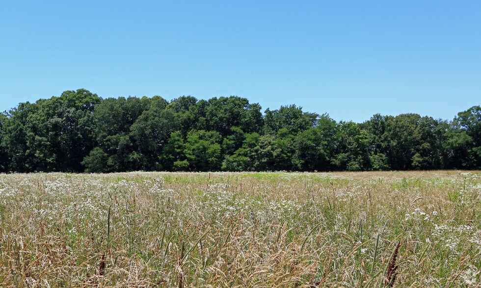 More Photos Of 24175 Point Lookout Rd, Leonardtown Land For Sale