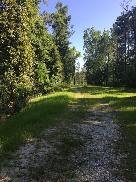 More Photos Of 9139 Veterans Parkway, Fortson Land For Sale
