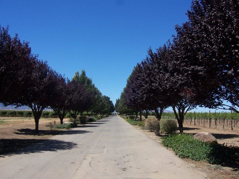 More Photos Of 11670 Byron Hwy, Brentwood Land For Sale