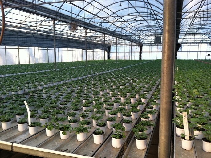 More Photos Of 609-621 E Maple Ave, Newark Light Manufacturing For Lease