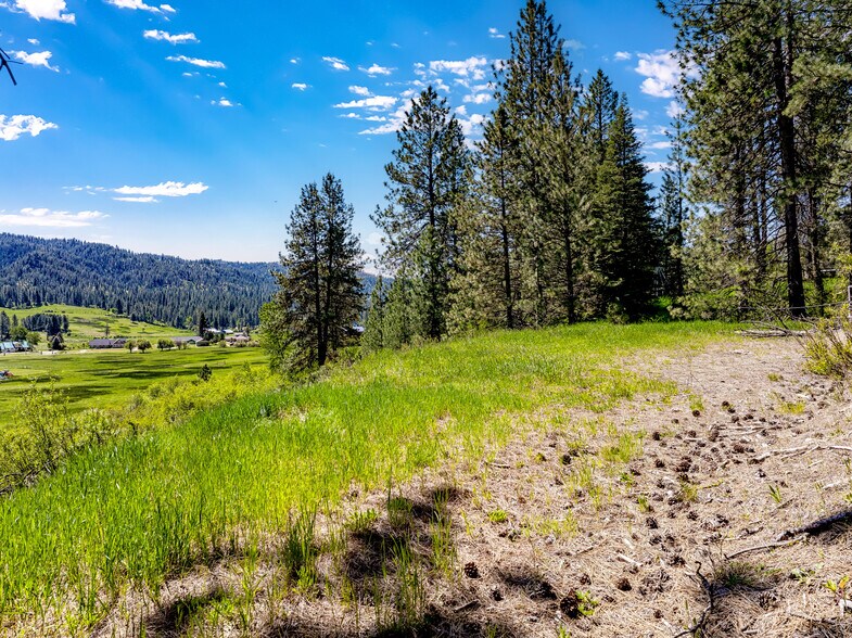 More Photos Of Lot 44 Scriver Creek, Garden Valley Land For Sale