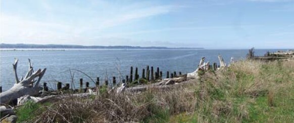 More Photos Of 815 8th St, Hoquiam Land For Sale