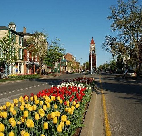 More Photos Of 75 Ormond St N, Thorold Land For Sale