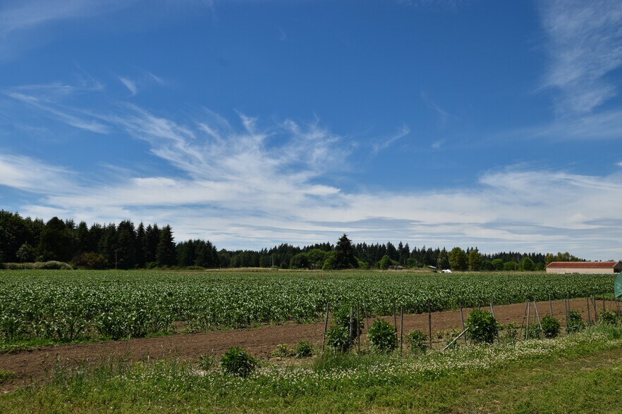 More Photos Of 302 93rd Ave SE, Olympia Land For Sale