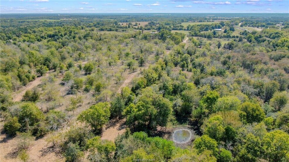 More Photos Of 81.53 AC Hwy 36 North hwy, Caldwell Land For Sale