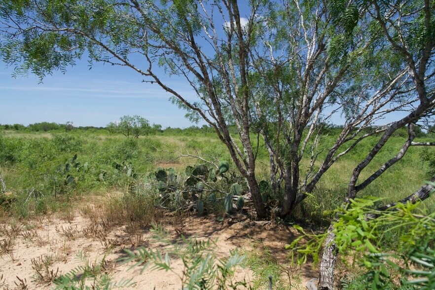 More Photos Of 00 Taylorsville Rd, Red Rock Land For Sale