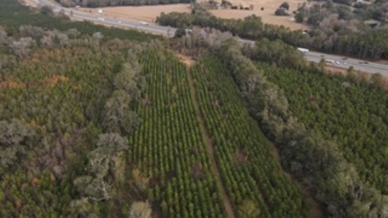 More Photos Of 10602 NW 143rd St, Alachua Land For Sale