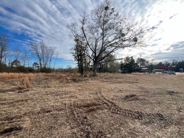 More Photos Of 52000 Block US-31 Hwy, Perdido Land For Sale