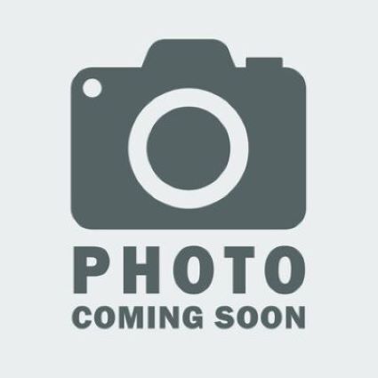 Primary Photo Of 461 Rhode Island St, Buffalo General Retail For Sale