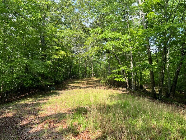 More Photos Of 395 Able rd, Waleska Land For Sale