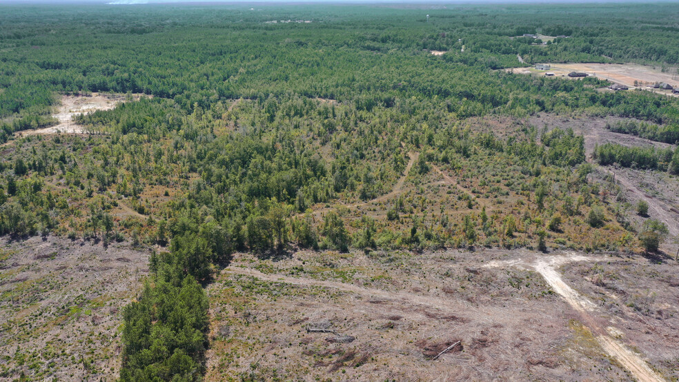 Primary Photo Of Kalina, Leesville Land For Sale