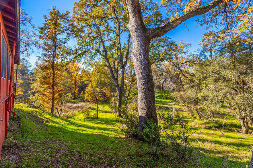 More Photos Of 6433 Mother Lode Dr, Placerville Office For Sale