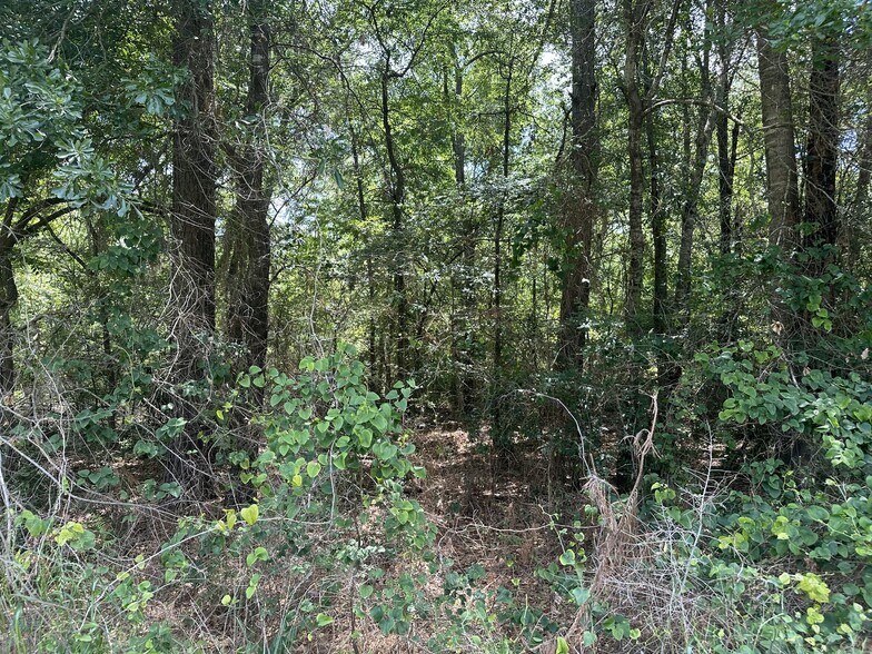 More Photos Of 4102 Van Hwy, Tyler Land For Sale