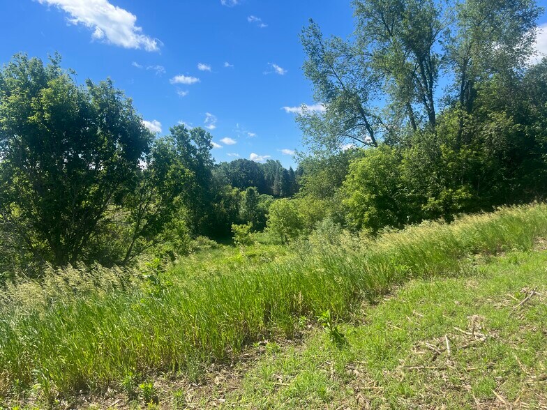 More Photos Of Fahrner Rd, Chelsea Land For Sale
