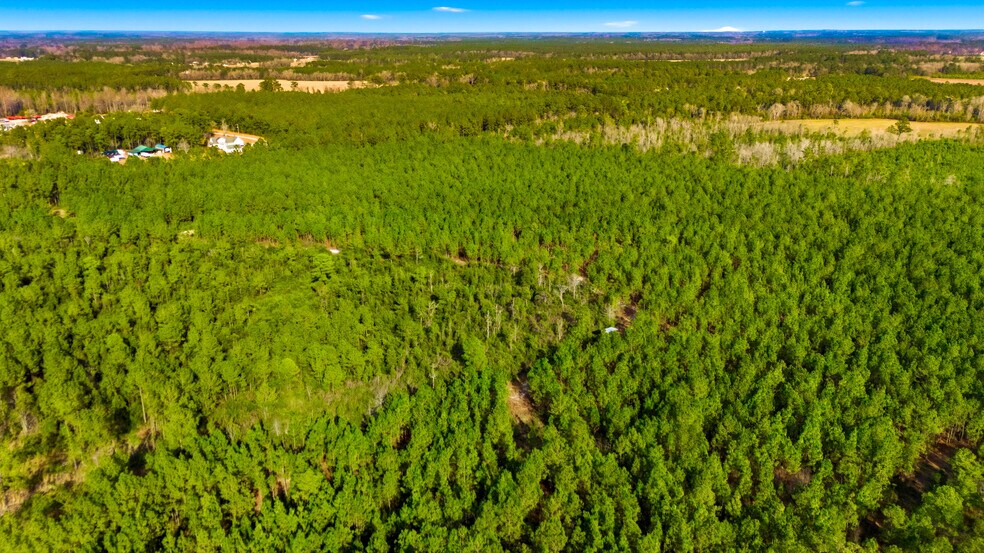 More Photos Of Highway 45, Loris Land For Sale