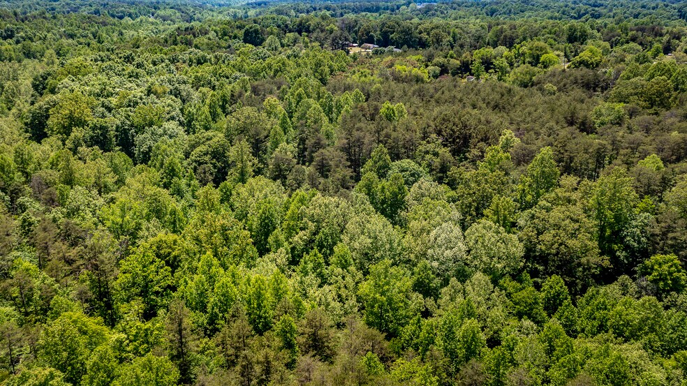 More Photos Of 1245 Carpenters Mill Rd, Ruckersville Land For Sale