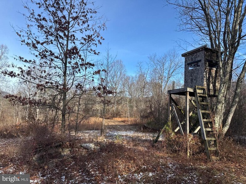 More Photos Of Haven Ln, Warfordsburg Land For Sale
