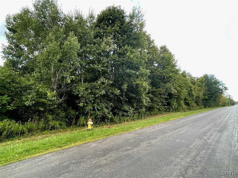 More Photos Of Maiden Lane Rd, Oswego Land For Sale