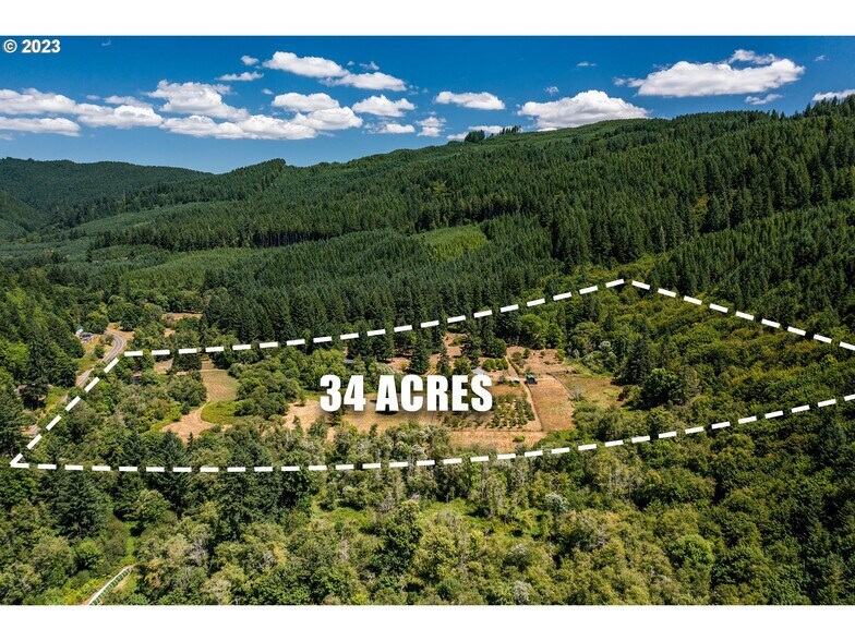 More Photos Of 18624 Highway 36, Blachly Land For Sale