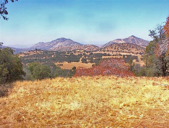 More Photos Of 38176 Cardinal, Yokuts Valley Land For Sale