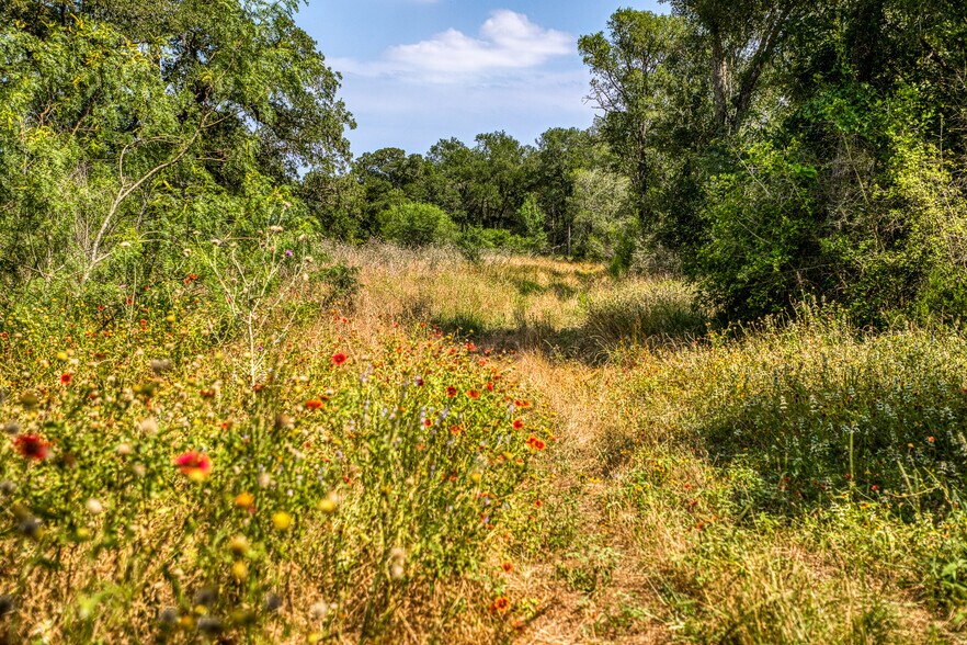 More Photos Of TBD (+/-88 Acres) Smith Rd, Bastrop Land For Sale