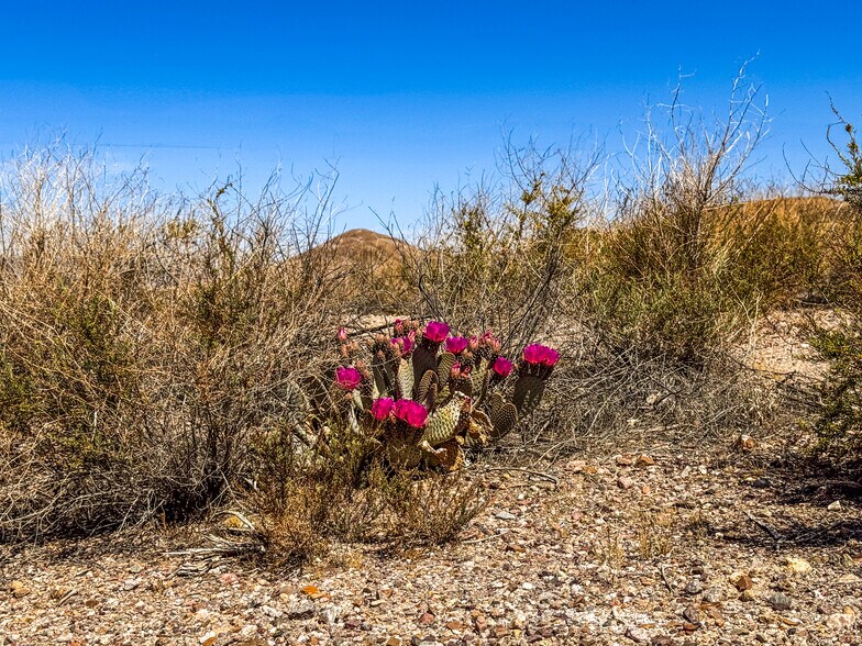 More Photos Of 120 Old Spanish Trail Hwy, Tecopa Land For Sale