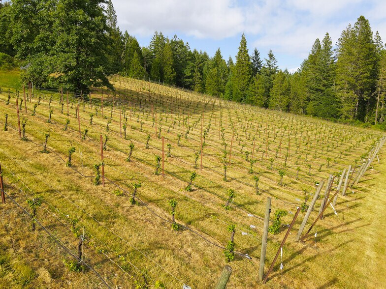 More Photos Of 1329 Larson Rd, Roseburg Winery Vineyard For Sale