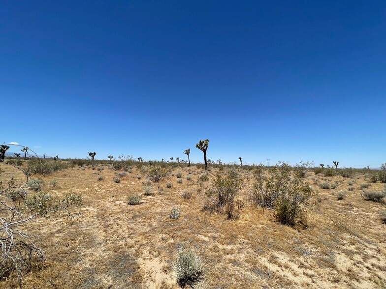 More Photos Of Nevada Rd @ South St., Phelan Land For Sale