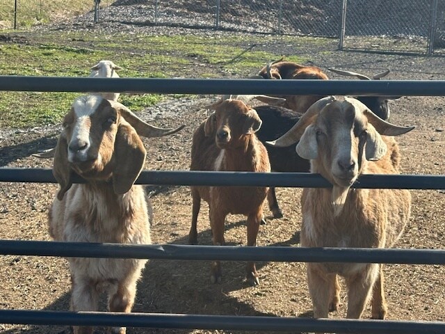 More Photos Of 5920 US-209, Stroudsburg Specialty For Sale