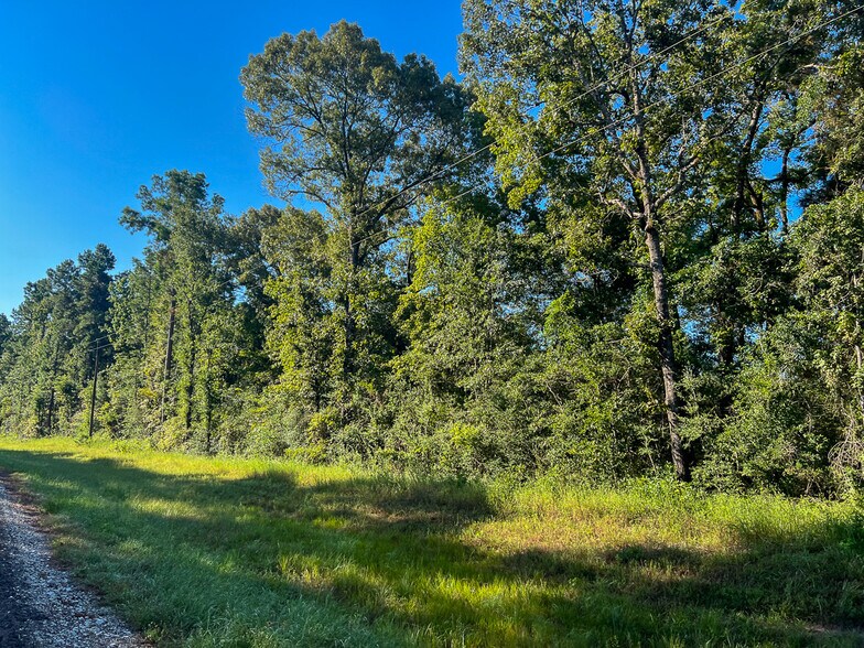 More Photos Of 1 FM 247, Huntsville Land For Sale
