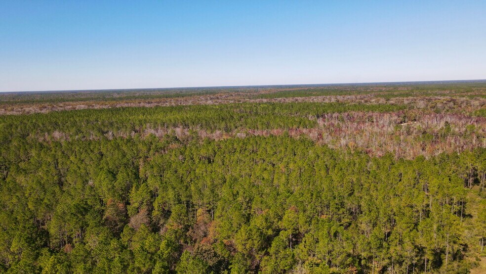 More Photos Of 4597 State 24 rd, Bronson Land For Sale