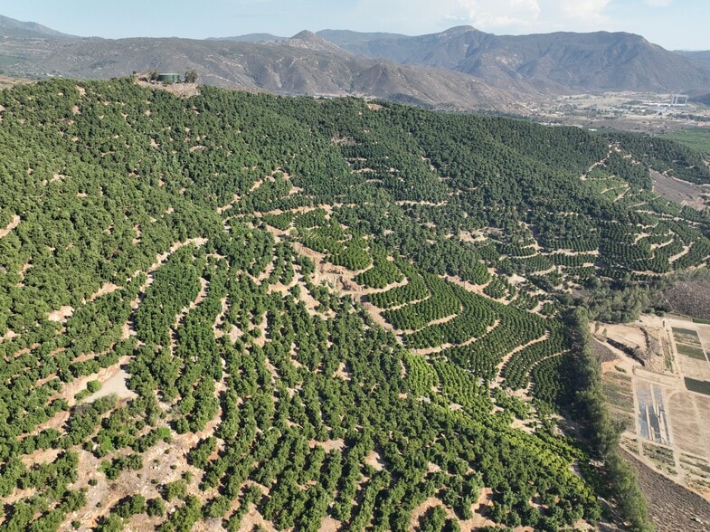 Primary Photo Of Avenida de Las Estrellas Ave, Pauma Valley Land For Sale