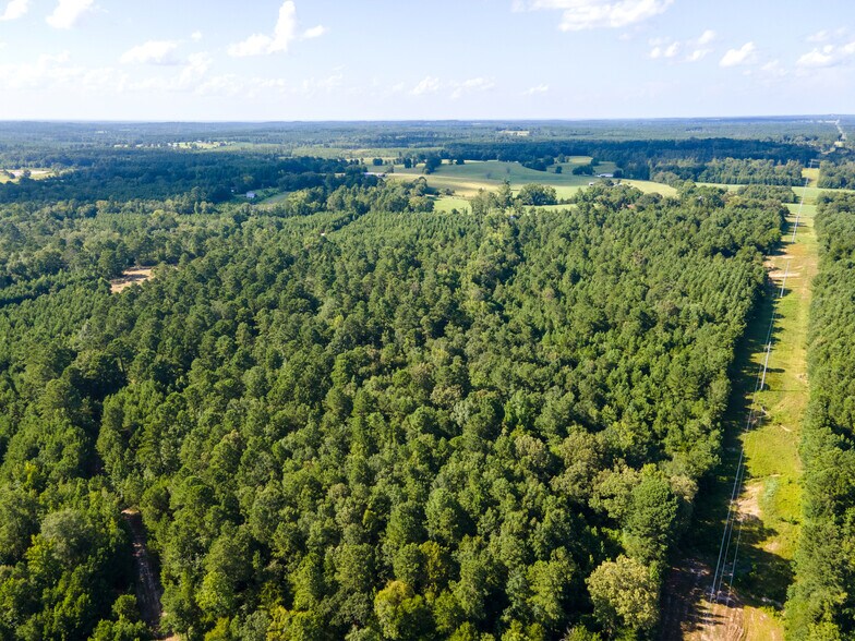 More Photos Of 2539 FM 995, Atlanta Land For Sale