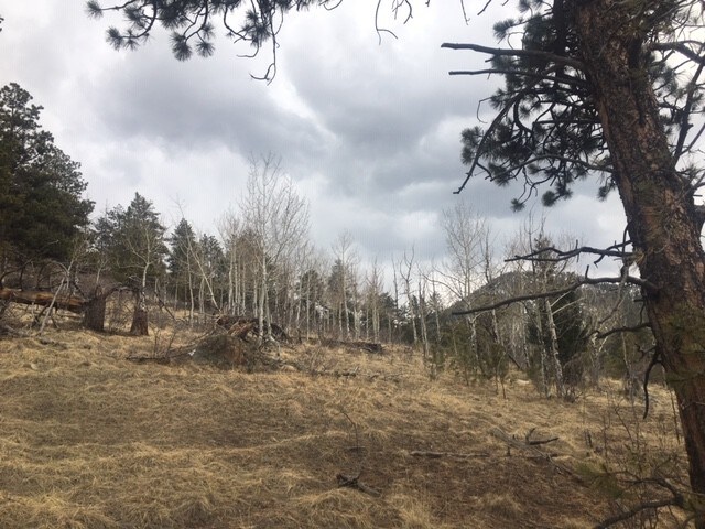 More Photos Of 62430 US Highway 285, Bailey Land For Sale