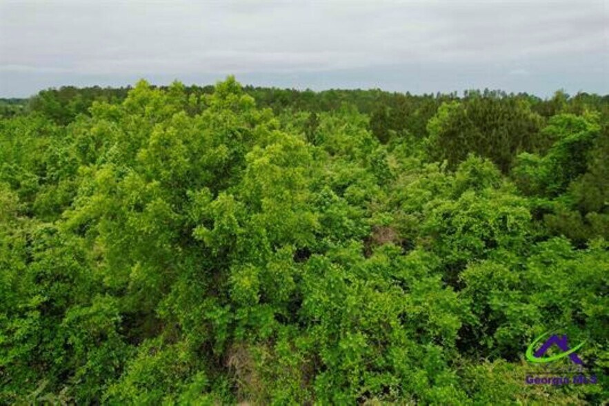 More Photos Of Chester Alamo Hwy, Chester Land For Sale