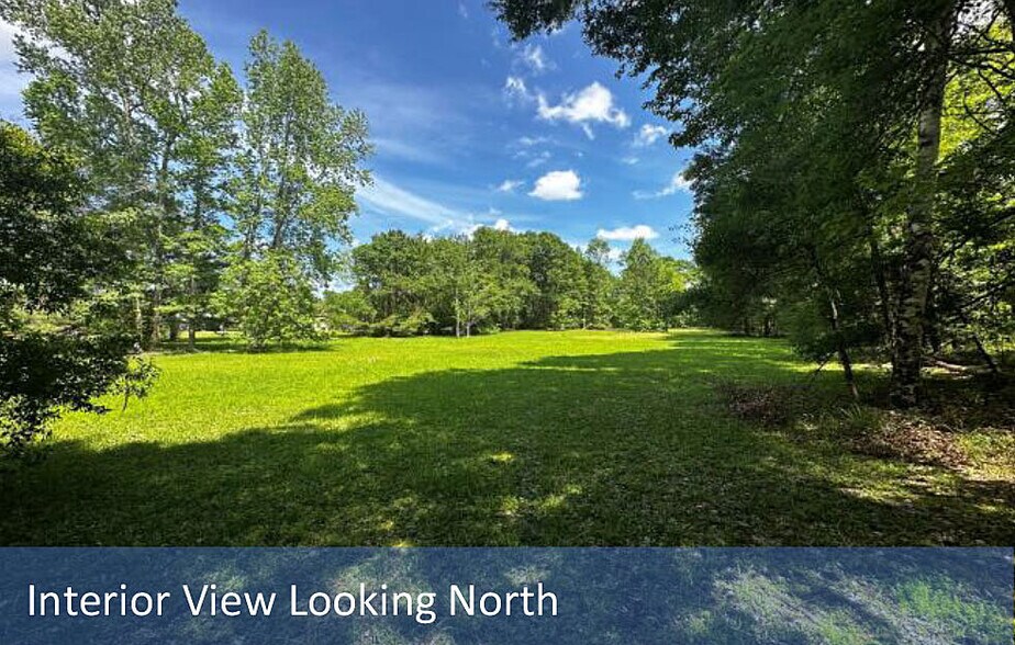 More Photos Of 2169 Pine Tree Ln, Middleburg Land For Sale