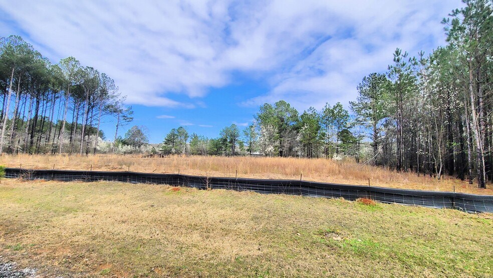 More Photos Of 1019 Chancellors Ferry Loop, Harpersville Land For Sale