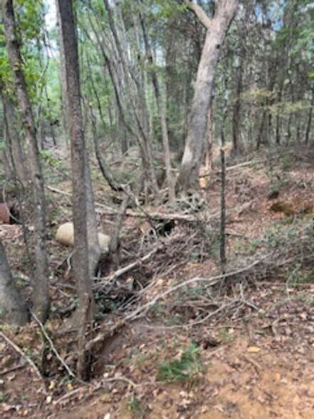 More Photos Of 21805 U.S. HWY 69S hwy, Bullard Land For Sale