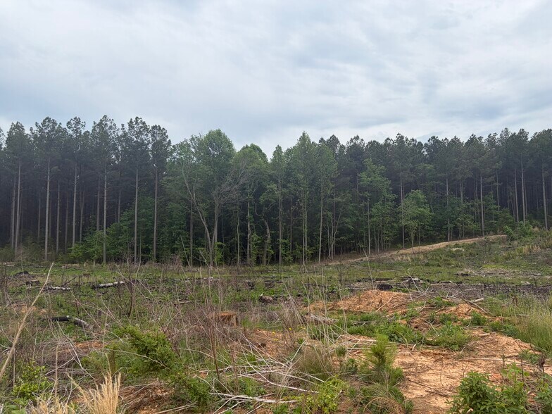 More Photos Of TBD Tarry Church Rd, Star Land For Sale