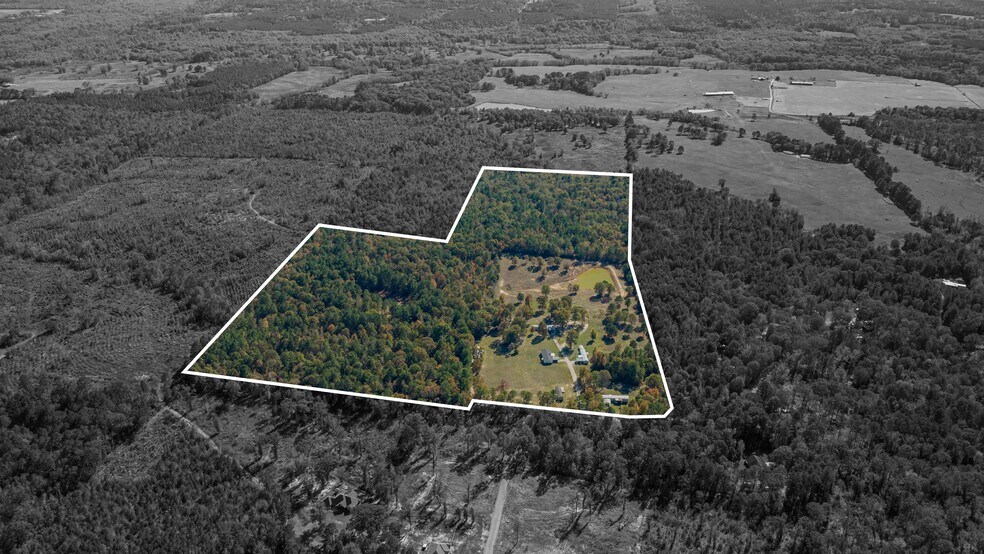 More Photos Of 12806 Wood Rd, Diana Land For Sale