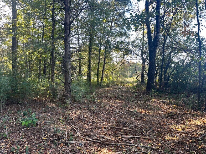 More Photos Of 00 NE Hwy 411, Rydal Land For Sale