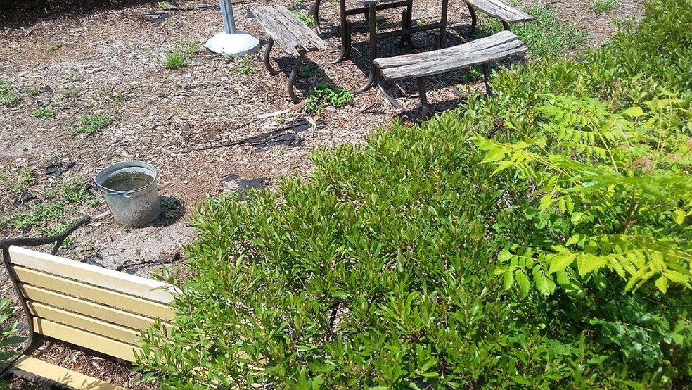 More Photos Of 1401 SW Martin Luther King Jr St, Arcadia General Retail For Lease