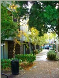 More Photos Of 37 E 4th Ave, San Mateo Office For Lease