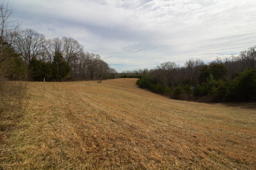 More Photos Of River Road, Madison Heights, Amherst, VA, USA, Madison Heights Land For Sale