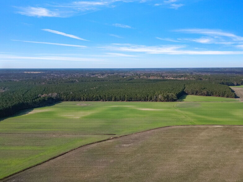 More Photos Of 10131 Ramsey st, Linden Land For Sale