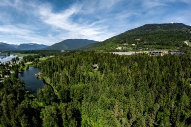 Primary Photo Of 2941 Mcinnes Rd, Revelstoke Land For Sale